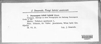 Image Associated With the Occurence